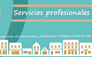 Servicios profesionales
