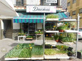 Semillería y Floristería Dueñas